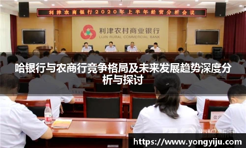 哈银行与农商行竞争格局及未来发展趋势深度分析与探讨